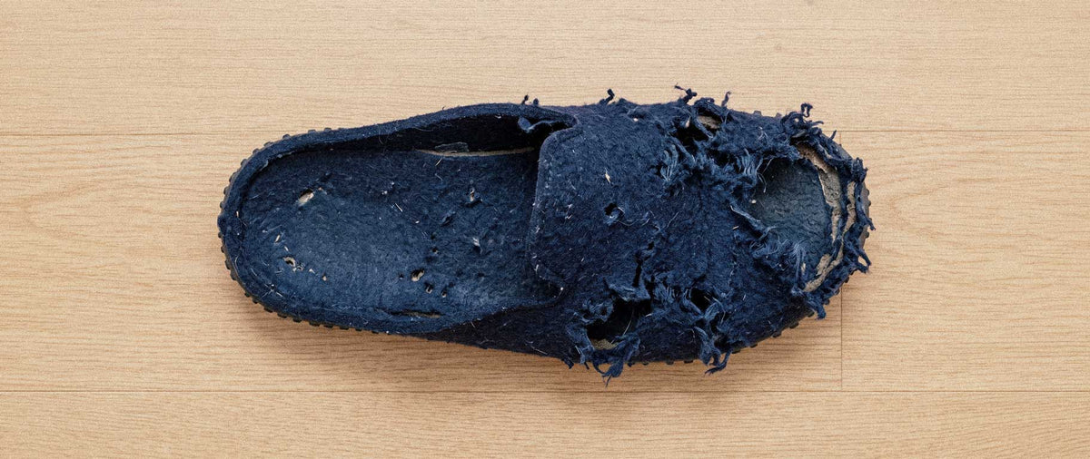 Destruktives Kauen verstehen: Wenn Möbel und  Schuhe zur Beschäftigung werden