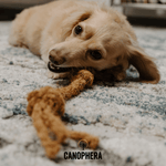 Coconut Rope Toys - Canophera