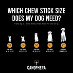 Coffee Wood Chew Sticks (Pack of 2) - Canophera