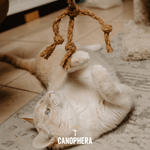 Natural Cat Toys. - Canophera
