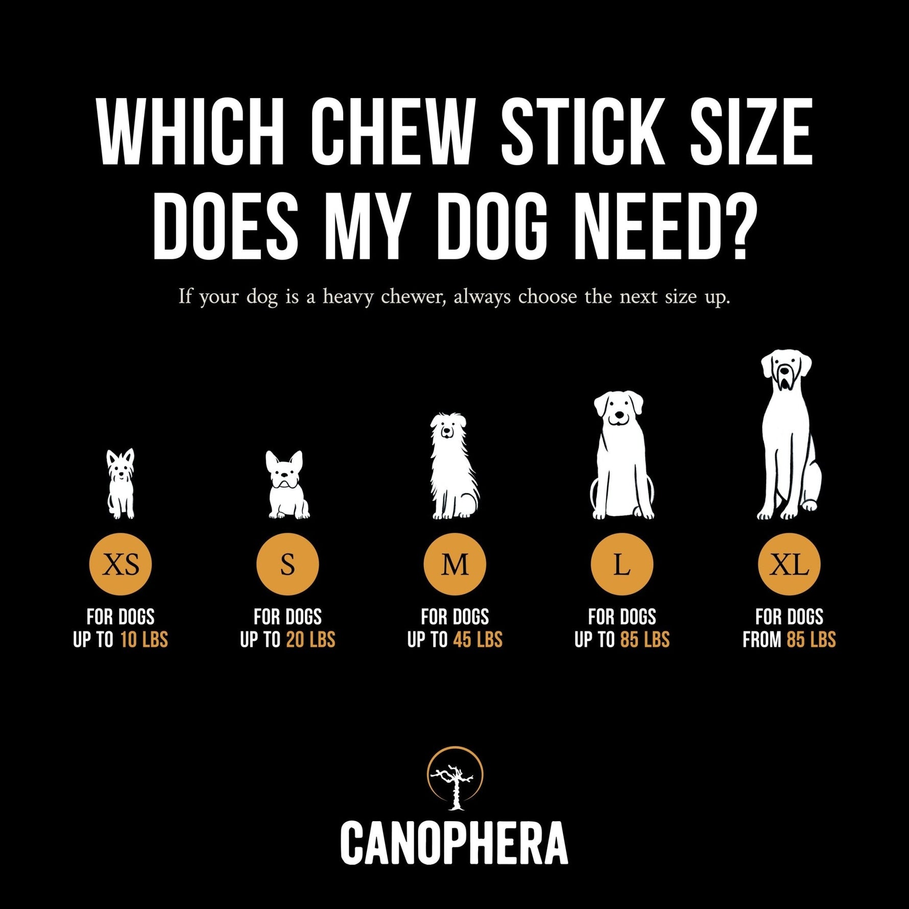Coffee Wood Chew Sticks (Pack of 2) - Canophera